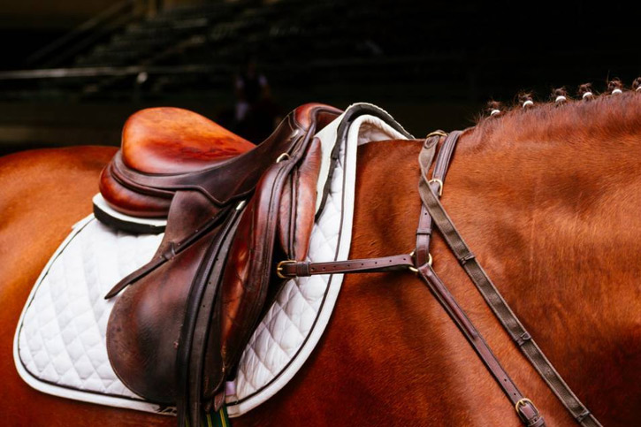 Cheval