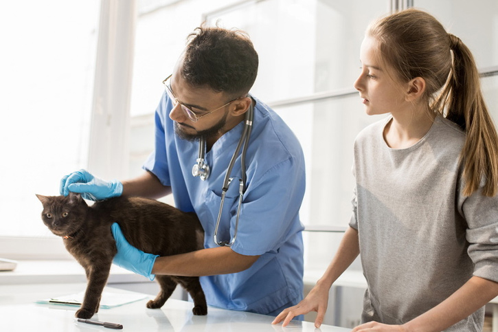 veterinaire